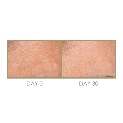 Dream Cream Moisturiser Anti-Ageing Day & Night Cream